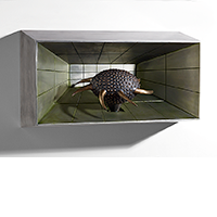 Artwork by Geoffrey Bartlett